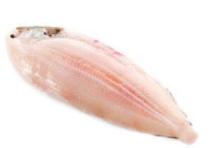 Grote Zeetong